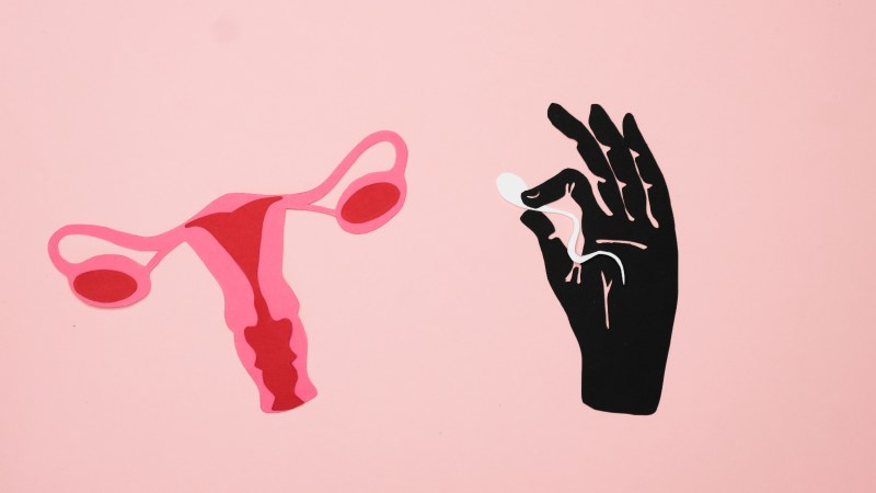 The Biological and Administrative Reality of Modern Third-Party Reproduction